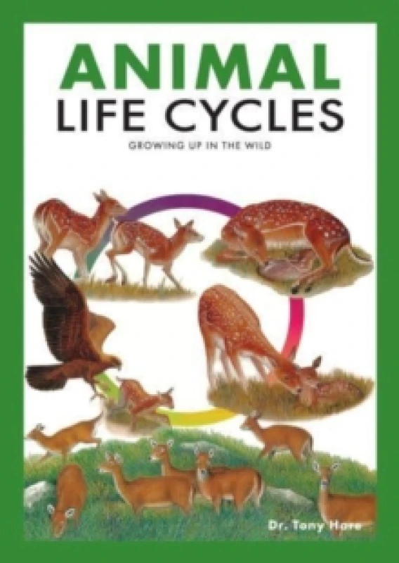 Image of Animal Life Cycles : Discovering How Animals Live in the Wild Paperback / softback