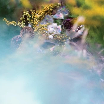 Image of bEEdEEgEE - Lp-Beedeegee-Sum/One Vinyl