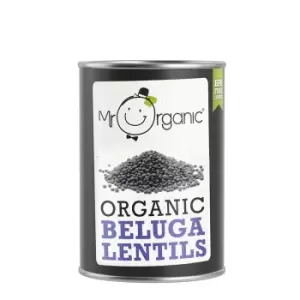 Image of Mr Organic Beluga Lentils 400g