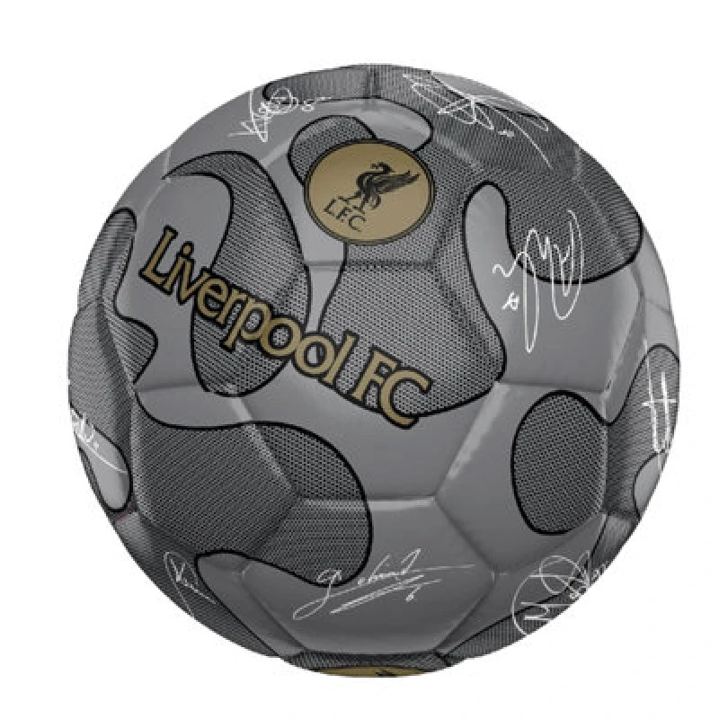 Image of Liverpool Fc Signature 32 Panel Football Silver (5)
