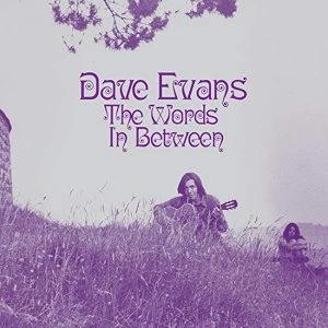 Image of Dave Evans - The Words Inbetween Vinyl