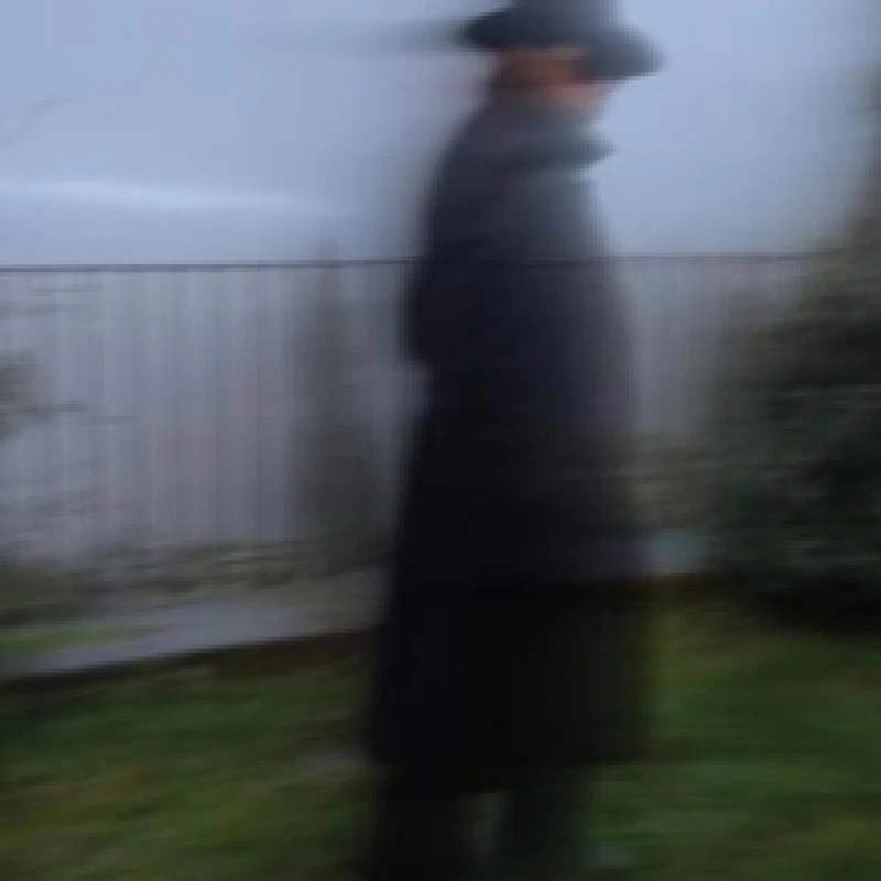 Image of Alejandro Escovedo - Echo Dancing [CD / Album] Music CDs - Music CD