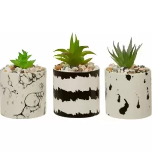 Image of Premier Housewares - Set of 3 White / Black Succulents Artificial / Fake Mini Potted Succulent Plants With Decorative Chic Contemporary Design Faux