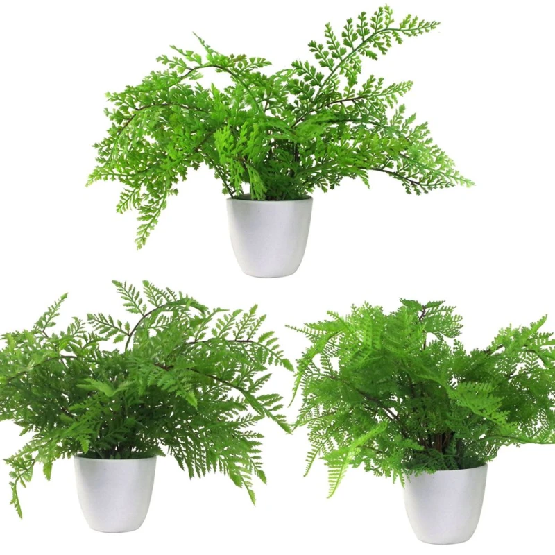 Image of Leaf Artificial Ferns Plants Pack of 3 x 30cm Botanical Fern 30cm Potted Display Botanik Green