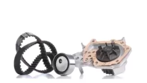 Image of SKF Water Pump + Timing Belt Kit VKMC 06003 RENAULT,DACIA,CLIO II (BB0/1/2_, CB0/1/2_),KANGOO (KC0/1_),KANGOO / GRAND KANGOO (KW0/1_)