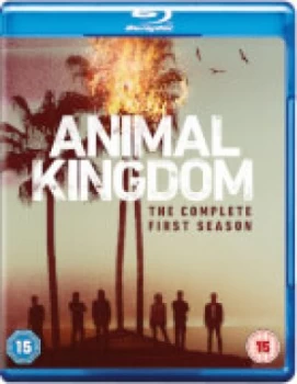 Image of Animal Kingdom - Season 1