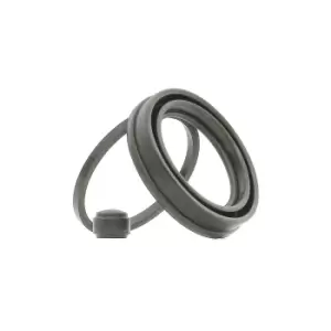 Image of QUICK BRAKE Brake Caliper Repair Kit RENAULT,PEUGEOT,CITROEN 114-0217 Caliper Repair Kit,Brake Caliper Rebuild Kit,Repair Kit, brake caliper