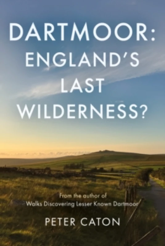 Image of Dartmoor: England's Last Wilderness? Paperback / softback