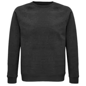 Image of SOLS Unisex Adult Space Organic Raglan Sweatshirt (S) (Charcoal Marl)
