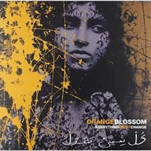 Image of Orange Blossom - Everything Must Change Vinyl