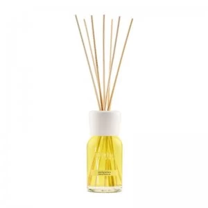 Image of Millefiori Milano Pompelmo Diffuser 100ml