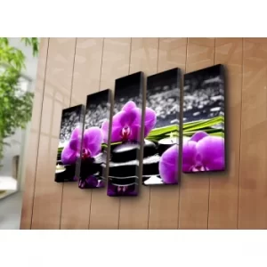 Image of 5PATK-67 Multicolor Decorative Canvas Painting (5 Pieces)