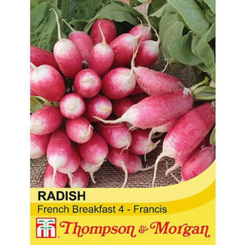 Image of Thompson & Morgan Radish French Breakfast 4 - Francis 1 Seed Packet
