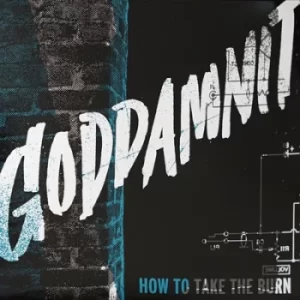 Image of How to Take the Burn by Goddamnit Vinyl Album