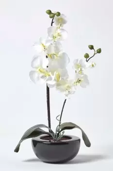 Image of Orchids Style in Black Bowl