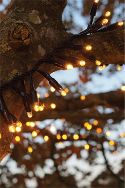 Image of Eagle Connect Cluster Lights Black Rubber Ip65 Copper Gold 5M