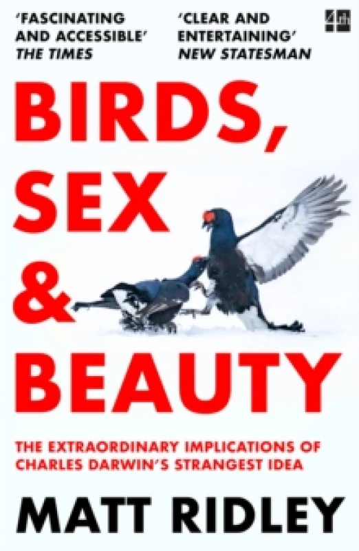 Image of Birds, Sex and Beauty : The Extraordinary Implications of Charles Darwins Strangest Idea Paperback / softback
