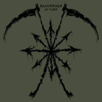 Image of Blackwood - Of Flies Vinyl