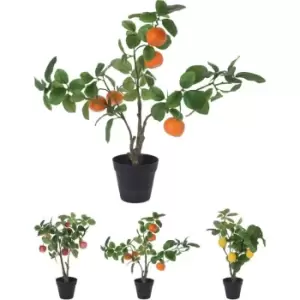 Image of Home and Styling Fruit Tree 23 - Multi