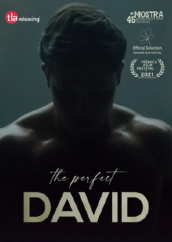 Image of The Perfect David DVD