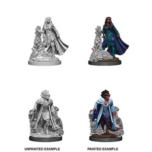 Image of Female Tiefling Sorcerer (PACK OF 6): D&amp;D Nolzur's Marvelous Unpainted Miniatures (W12)