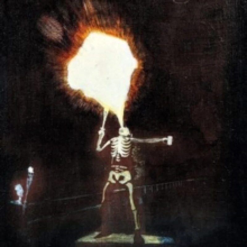 Image of DarkSonicTales Vinyl