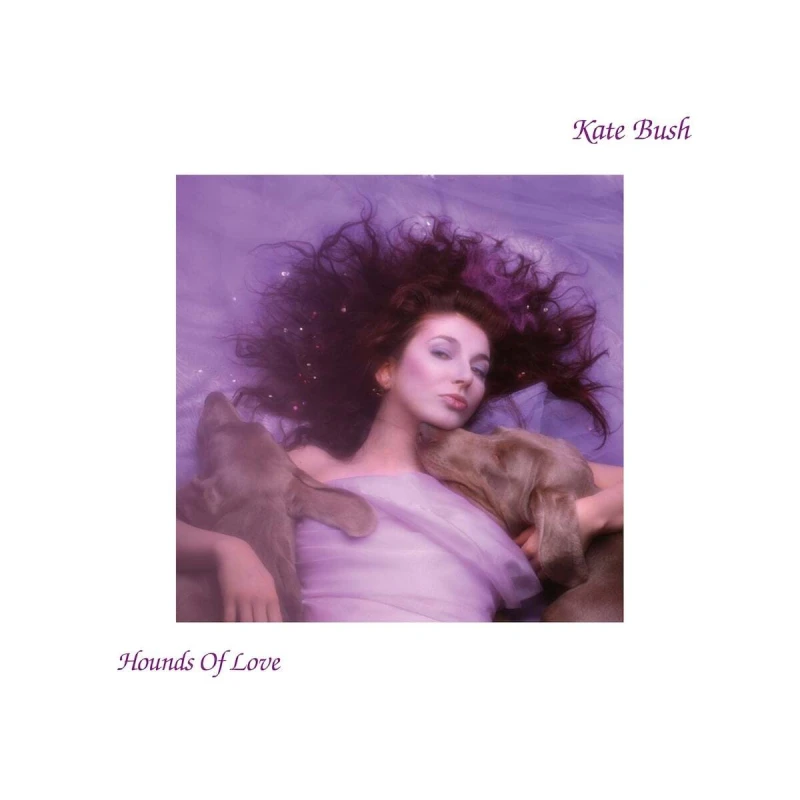 Image of Kate Bush - Hounds of Love [CD / Album] Music CDs - Music CD