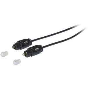 Image of Toslink Digital Audio Cable 1x Toslink plug ODT 1x Toslink plug ODT