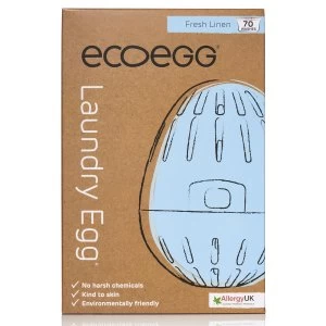Image of Ecoegg Laundry Egg
