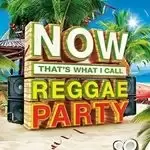 Image of NOW That's What I Call Reggae Party Box set (Music CD)
