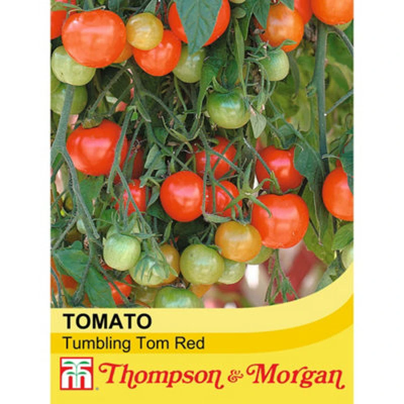 Image of Thompson & Morgan Tomato Tumbling Tom Red 1 Seed Packet (15 Seeds)