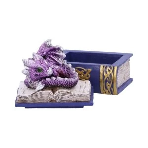 Image of Bedtime Stories (Purple) Dragon Box