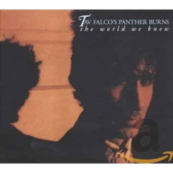 Image of Tav Falco And Panther Burns - World We Knew CD