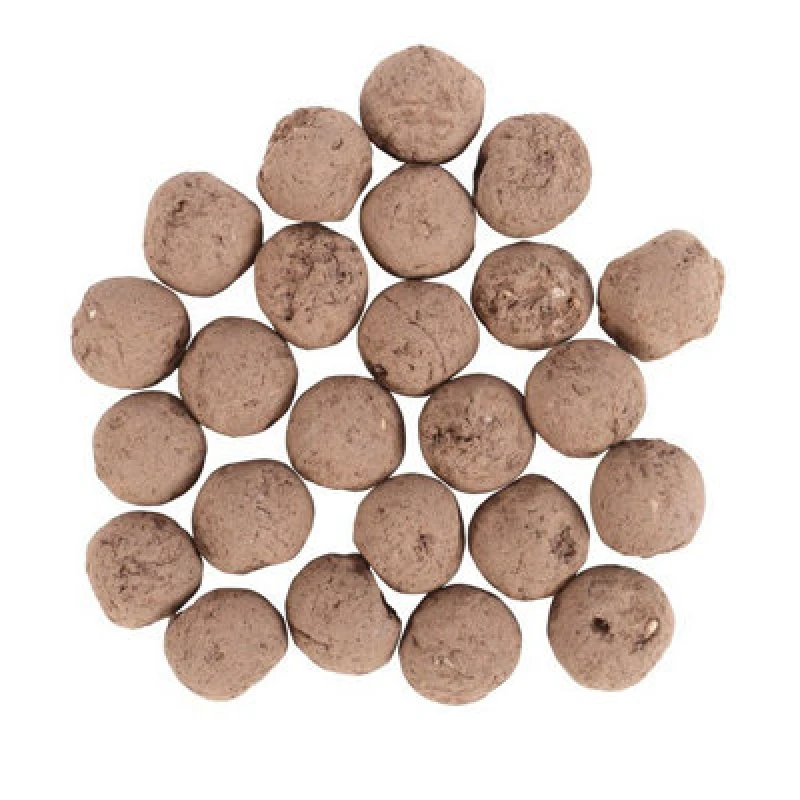 Image of Something Different Something Different Plants Flower Seeds (Pack of 24) in Light Sand Light Sand One Size Unisex 5063470535903