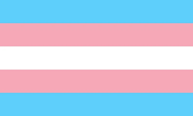 Image of Shatchi 5ft x 3ft Transgender Flag Event Decorations Multi