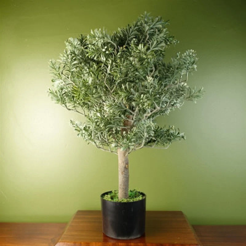 Image of Leaf Artificial Artemisa Evergreen Shrub Plant Green unisex