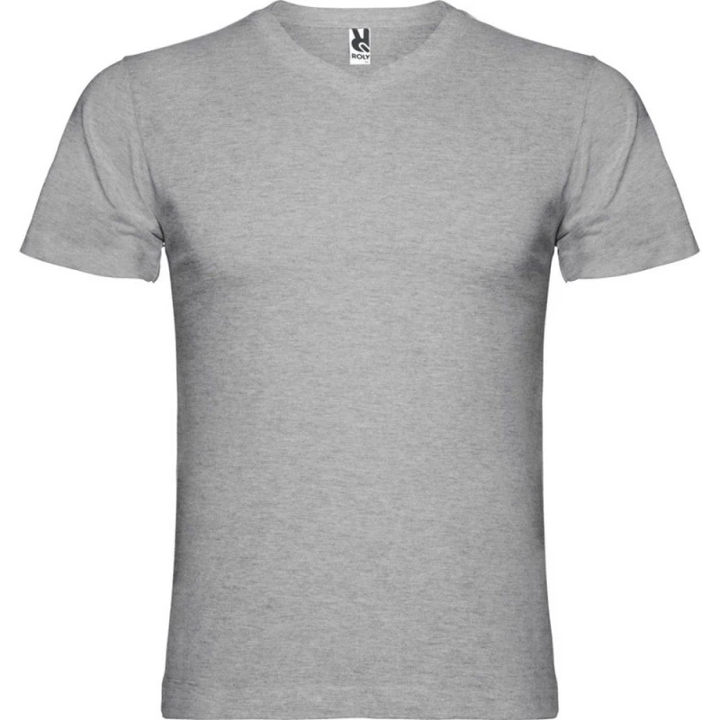 Image of ROLY ROLY Men Samoyedo V Neck T-Shirt in Grey Size: Small Grey S Male 5063470855001