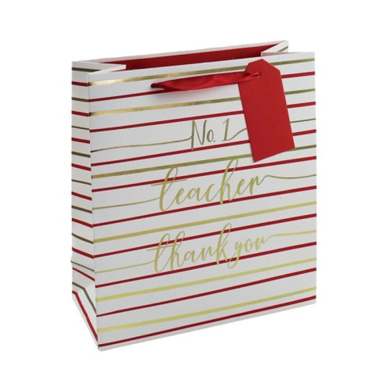 Image of Eurowrap No1 Teacher Bag Medium Pack of 6 27165-3C