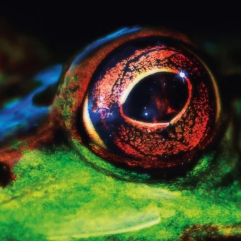 Image of T Q D - Day & Night Vinyl