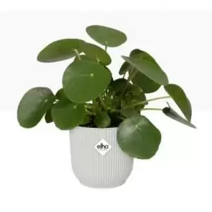 Image of Elho Vibes Fold Round 25cm Display Pot SILKY White NWT7091