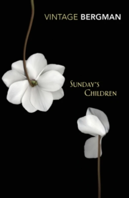 Image of Sunday's Children Paperback / softback