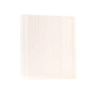 Image of RIDEX Pollen filter 424I0359 Filter, interior air,Cabin filter RENAULT,SMART,MEGANE III Grandtour (KZ0/1),Megane III Schragheck (BZ0/1_)