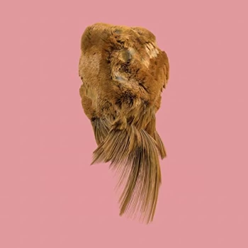 Image of Holy Family - Values CD