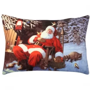 Image of A50916 Multicolor Cushion