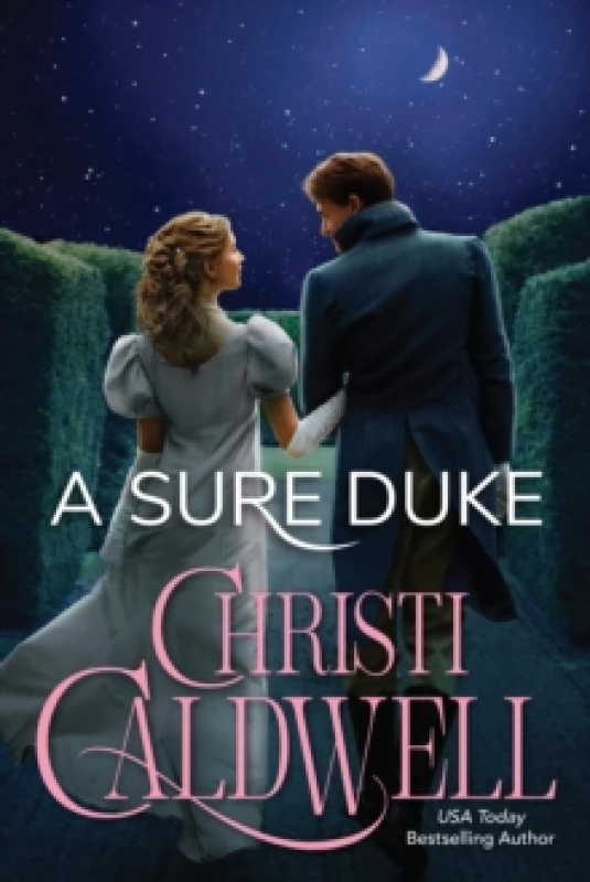 Image of A Sure Duke Paperback / softback