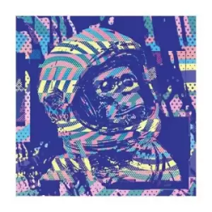 Image of Spacebound Tapes by Neil Cowley Trio Vinyl Album