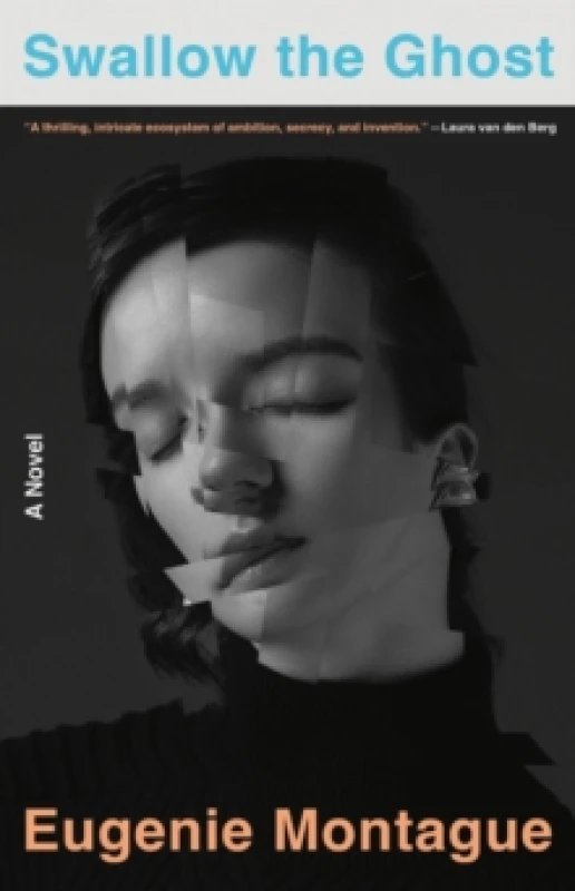 Image of Swallow the Ghost. Hardback. By Eugenie Montague Books