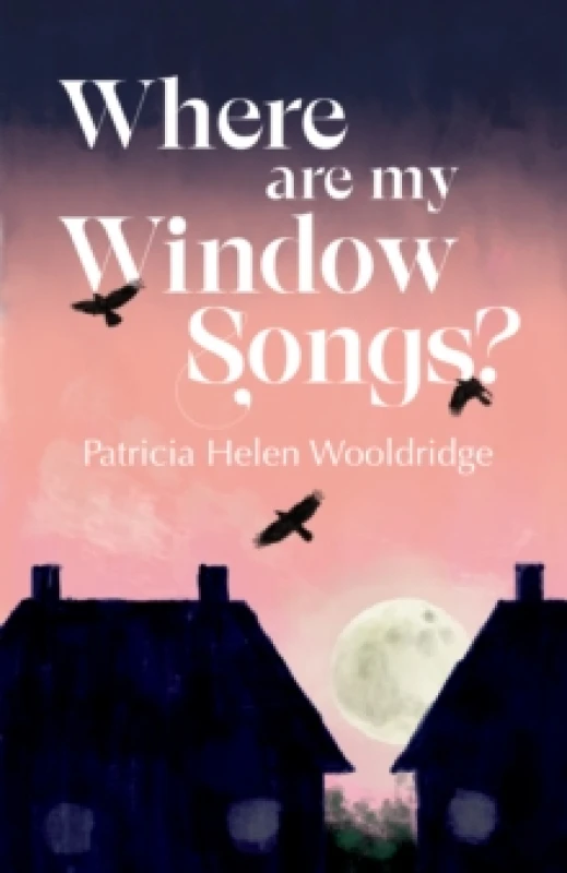 Image of Where are my window songs? Paperback / softback