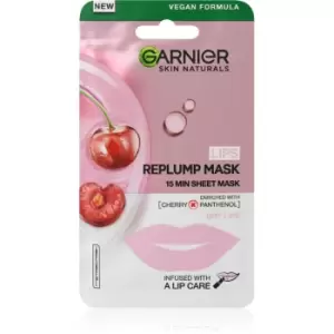 Image of Garnier Skin Naturals Lips Replump Mask Anti-Wrinkle Filling Face Mask for Lips 5 g