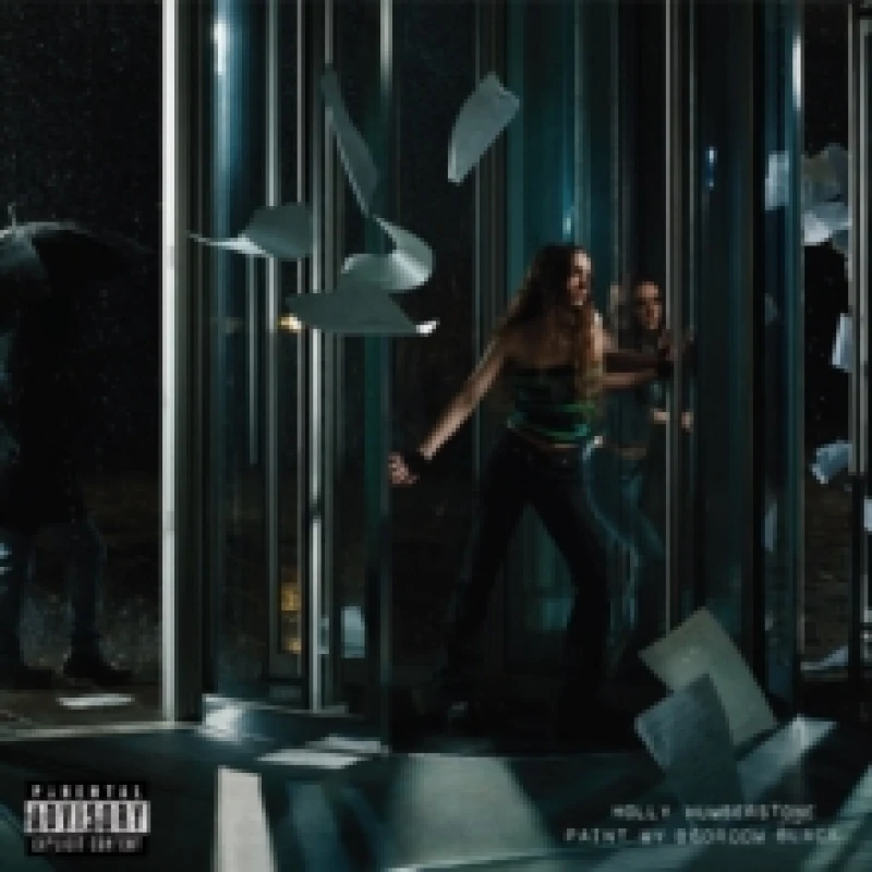 Image of Paint My Bedroom Black Vinyl